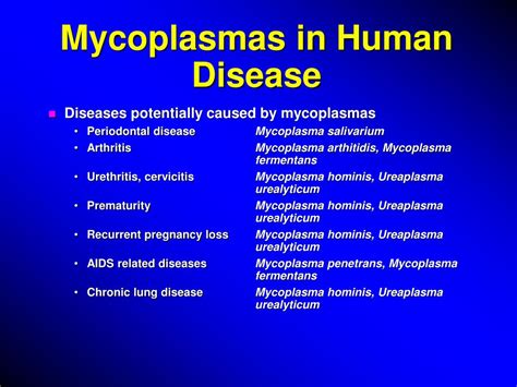Ppt Genital Mycoplasmal Disease In The Newborn Powerpoint