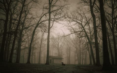 The Worlds Most Haunted Countries Have Been Revealed
