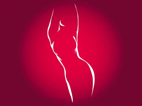 Silhouette Woman Body Illustration Slim And Fat Fashion Women Stock Illustration Download