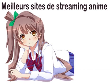 10 Meilleurs Sites De Streaming Anime 2023 Français Sans Pub Jtrouver