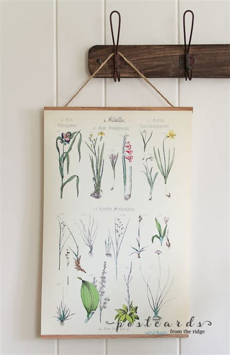 Diy Hanging Botanical Art With Free Printable Free Printable Artwork
