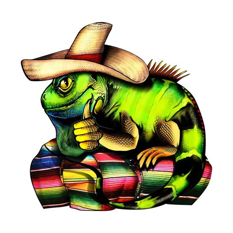 Full Color Iguana With Sombrero Download Iguana Sombrero Image Full