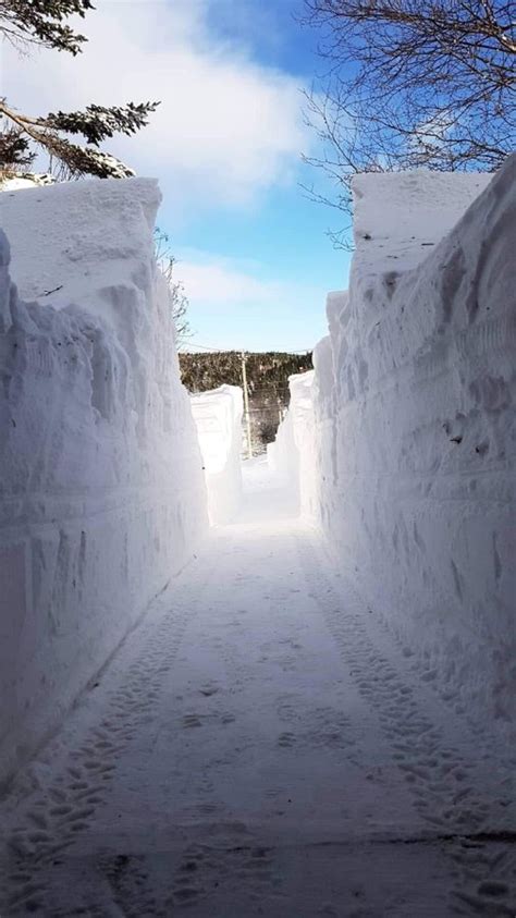 Historic Snow Blizzard In Canada Photos And Videos Showing 30inches Of Snow