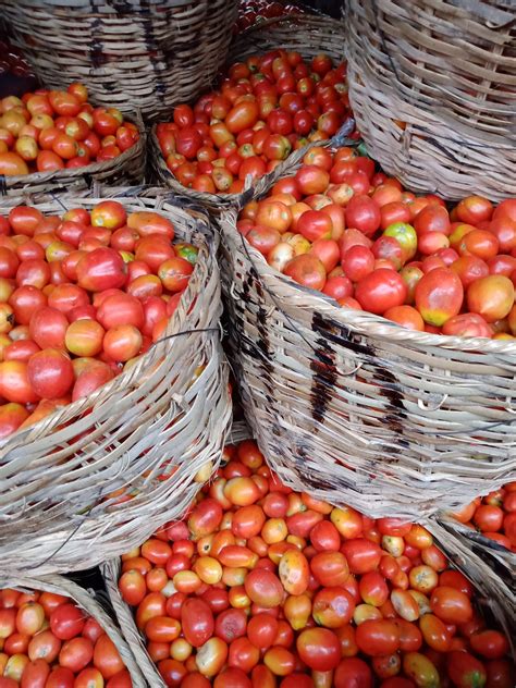 Basket Of Tomatoes Big Basket • 24 Hours Market Lagos Nigeria