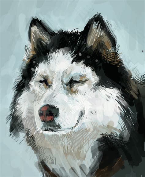 Smiling Husky Dog Portrait