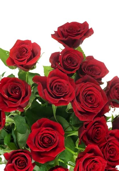 Image Rose Rose Flowers Heart Over White Valentine Love — Stock