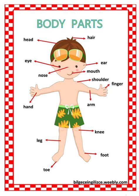 Once students have learned body parts vocabulary they can use these words to describe themselves and others, to ask and answer about sickness and health, and to talk about many other things. BODY PARTS - English ESL Worksheets for distance learning and physical classrooms