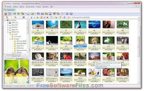 Xnview is a free software for windows that allows you to view, resize and edit your photos. XnView Latest Version Free Download