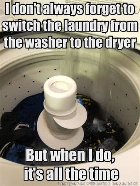 25 funniest laundry memes that are totally relatable