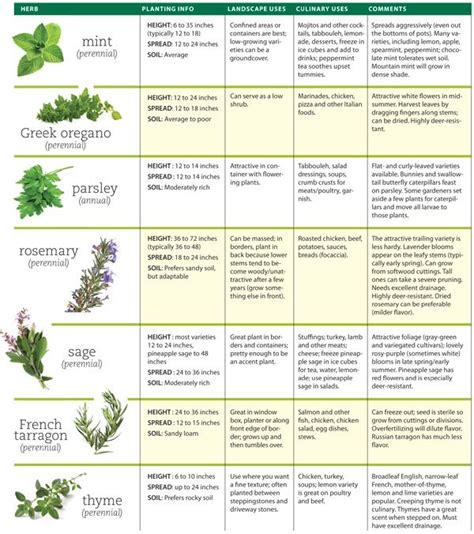 Medicinal Plants Table Medicinal Plant