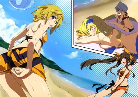 Okiura Cecilia Alcott Charlotte Dunois Huang Lingyin Laura Bodewig Infinite Stratos Non