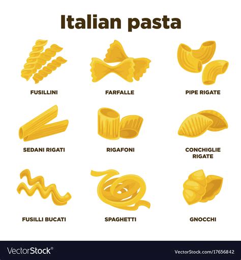 Delicious Italian Pasta Types High Quality Vector Image