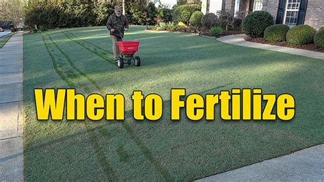 When To Fertilize Your Lawn Lawn Care