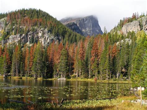 Go Hike Colorado Bear Lake To Emerald Lake Rocky