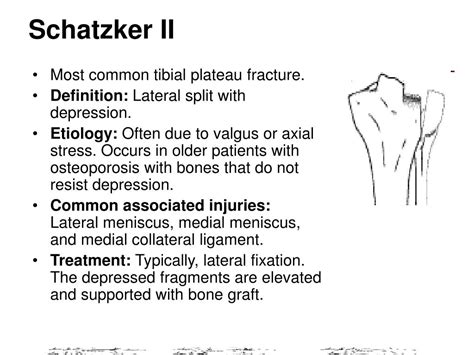Ppt Fracture Of Tibia Powerpoint Presentation Free Download Id489639