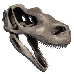Check spelling or type a new query. Raptor Bone Costume - Official ARK: Survival Evolved Wiki