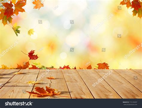 121707 Autumn Background Falling Images Stock Photos And Vectors