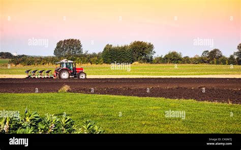 Small Scale Farming With Tractor And Plow In Field Stock Photo Alamy