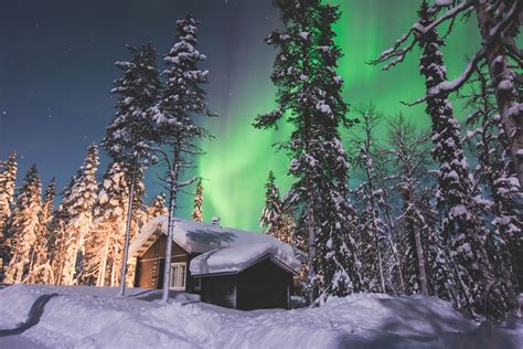 Northern Lights & Wildlife in Swedish Lapland - Seeachange