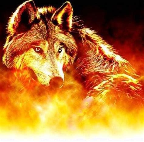 Burning Wolves Wallpapers Wolf Wallpaperspro