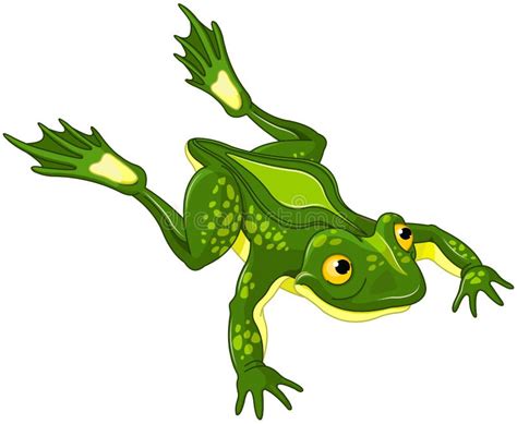 Leaping Frog Stock Illustrations 177 Leaping Frog Stock Illustrations
