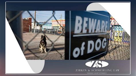 Maryland Dog Bite Laws Zirkin And Schmerling Law