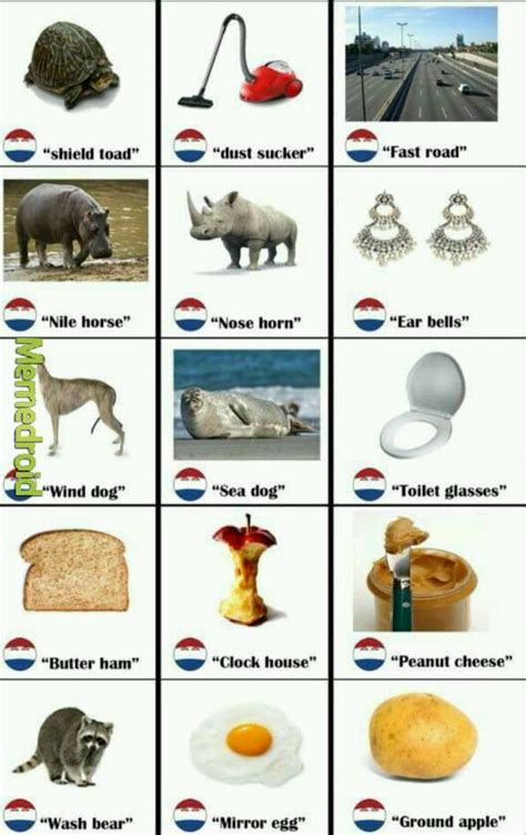 The Best Dutch Memes Memedroid