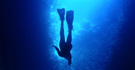 How Deep Can A Human Dive Deep Diving Explained