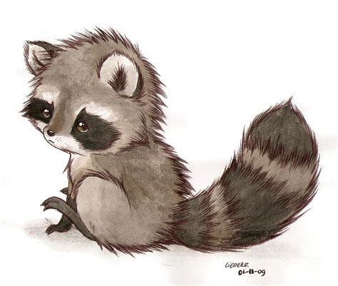 Its A Raccoon By Liedeke On Deviantart