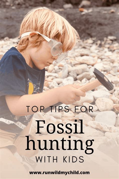 Tips For Fossil Hunting With Kids Run Wild My Child