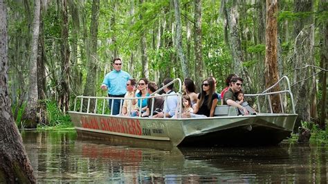 New Orleans Night Swamp Tour With Transportation