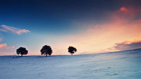 Wallpaper Sunlight Trees Landscape Sunset Sea Sky Snow Winter