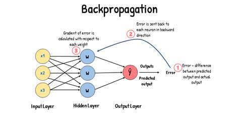 Network Forward Backward Calculation Precision Error Pytorch Forums
