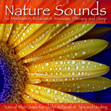 Nature Sounds For Meditation Relaxation Massage Therapy And Sleep By