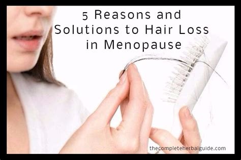 Hair Loss And Menopause Health And Natural Healing Tips