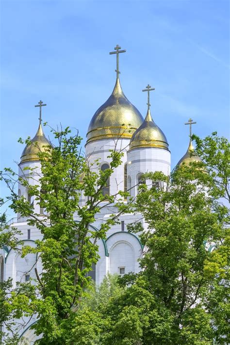 Cathedral In Kaliningrad Stock Photo Image Of Tree Cathedral 56068868
