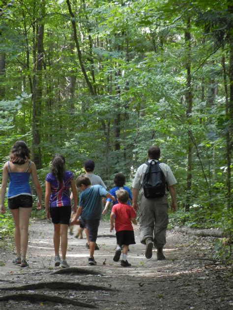 Woods Wanderer Hiking With Children