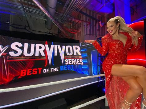 Pin By Dawn Hoig On Wwe Pay Per Views Survivor Service In 2021 Long