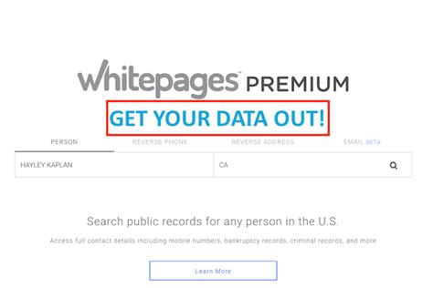 Top 98 Imagen Whitepages Background Check Review Vn