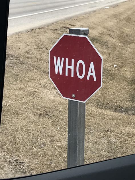 This Amish Village Has ‘whoa Signs For Their Horses Instead Of Stop