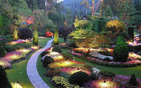 Lighting Flower Butchart Gardens Victoria British Columbia Canada