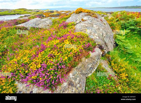 Ireland Landscape Hdr Shoot In Summer Time Stock Photo Alamy