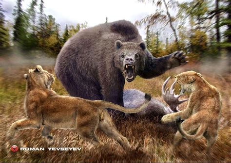 Short Faced Bear Vs Mega Lion