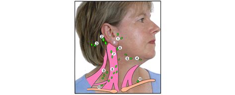 How To Check Your Lymph Nodes Bad Patient Hub