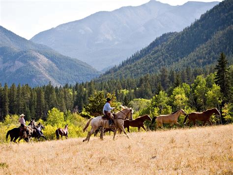 Horseback Riding In Montana Jjj Wilderness Ranch