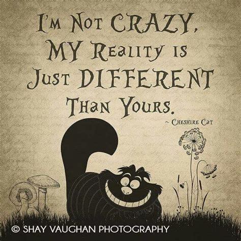 Adorable cheshire cat shirt from disney brand t shirt. Pin by Shelley Tonks on Just bit of everything | Alice and ...