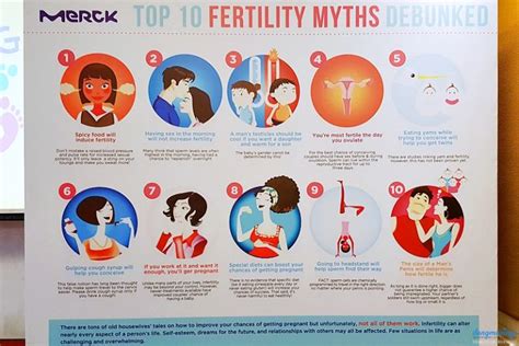 Health Understanding The Basics Of Infertility Dems Angeles