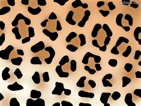 Leopard Print Computer Wallpapers Wallpaper Cave