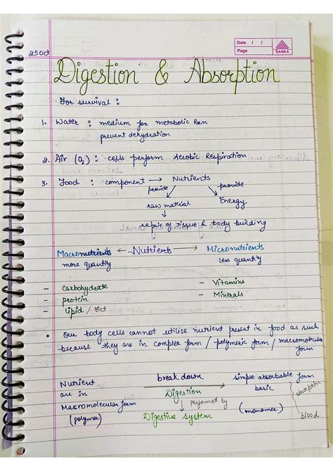 SOLUTION Digestion And Absorption Notes For Neet Studypool