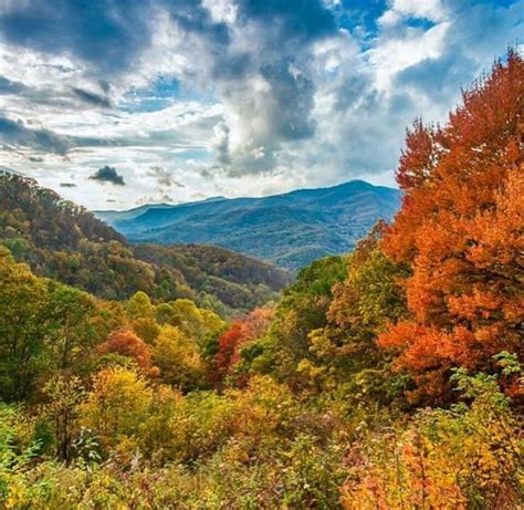 An Autumn Scene In The Mountains With Colorful Trees And Foliage On
